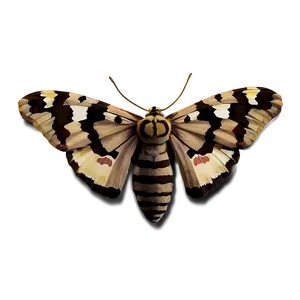 Moth Camouflage PNG Upw85 PNG