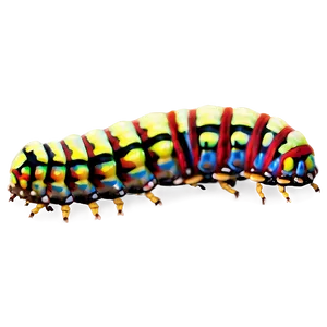 Moth Caterpillar PNG Lkt46 PNG