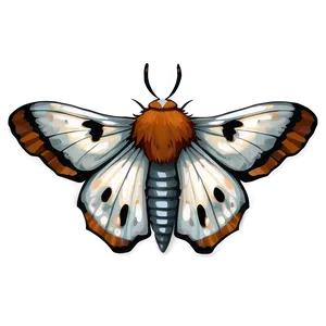 Moth Clipart PNG 05242024