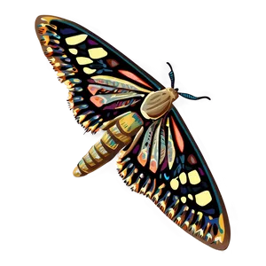 Moth Clipart PNG 05242024
