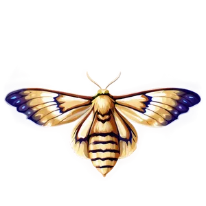 Moth Clipart PNG Pwx96