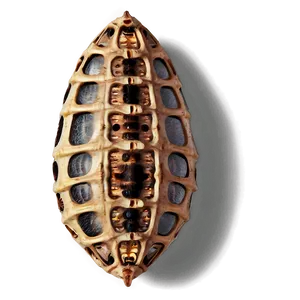 Moth Cocoon PNG 39 PNG