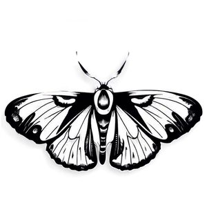 Moth Illustration Black And White PNG 05242024