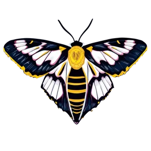Moth Illustration Black And White PNG Ihd