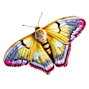 Moth In Flight PNG 05242024 PNG