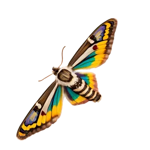 Moth In Flight PNG Egv38 PNG