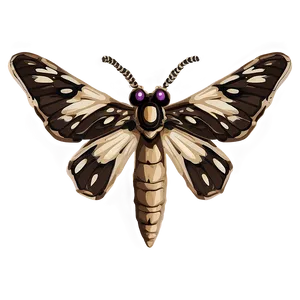 Moth Symbolism PNG 05242024 PNG