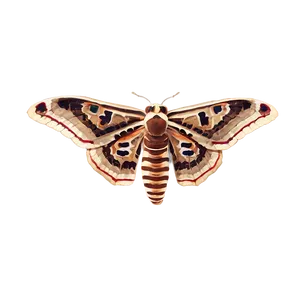 Moth To Light PNG Abp