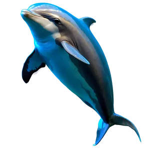 Mother And Baby Dolphin Png Byt PNG image