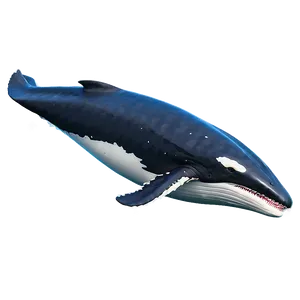 Mother And Baby Whale Png 86 PNG image