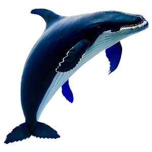 Mother And Baby Whale Png Rwk92 PNG image