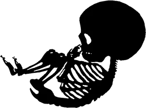 Mother Child Skeleton Silhouette PNG image