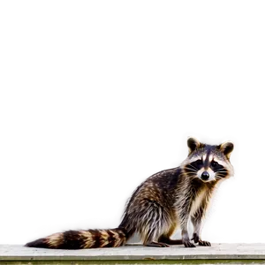 Mother Raccoon And Baby Png Bhv69 PNG image
