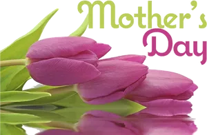 Mothers Day Pink Tulips PNG image