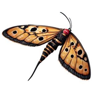 Mothra B