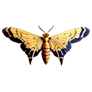 Mothra Golden Age Look Png Has PNG image