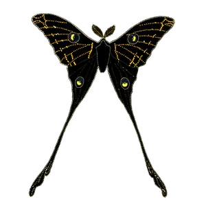 Mothwith Tails Illustration