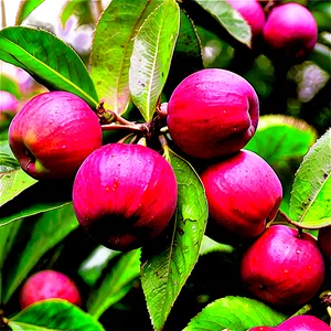 Mountain Apple Orchard PNG Odk57 PNG