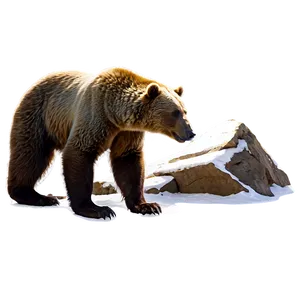 Mountain Bear Png 06112024 PNG image