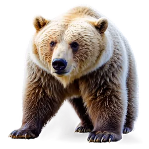 Mountain Bear PNG 36 PNG