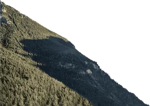 Mountain Forest Summit Gradient PNG