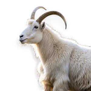 Mountain Goat Png 65 PNG image