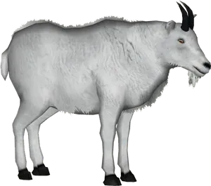 Mountain Goat3 D Model Isolated PNG image