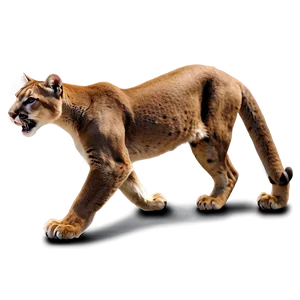 Mountain Lion Strength PNG 06262024
