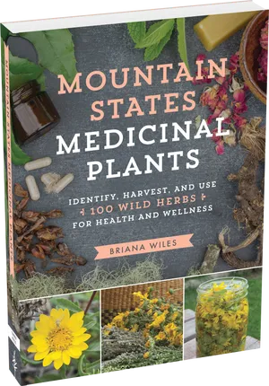 Mountain States Medicinal Plants Book Cover
