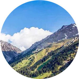 Mountain_ Summit_ View