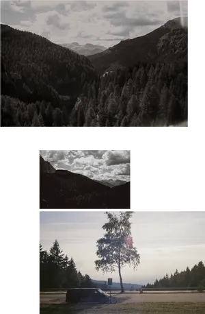 Mountainous_ Forest_ Scenery_ Collage PNG image