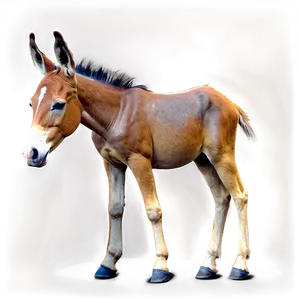 Mule And Foal PNG 15