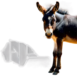 Mule And Foal PNG Qje27