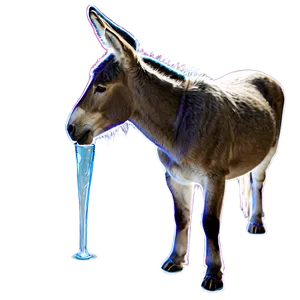 Mule Drinking Water PNG 47 PNG