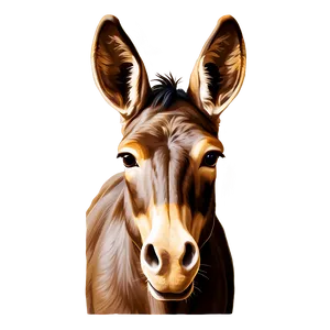 Mule In Cartoon Style PNG Lpy PNG
