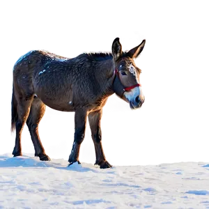 Mule In Snow Scene PNG 06292024