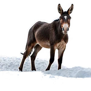 Mule In Snow Scene PNG Oia PNG