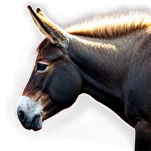 Mule In Sunset Vista PNG 06292024