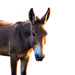 Mule In Sunset Vista PNG Udf5 PNG