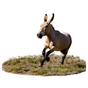 Mule Kick Action PNG 96 PNG