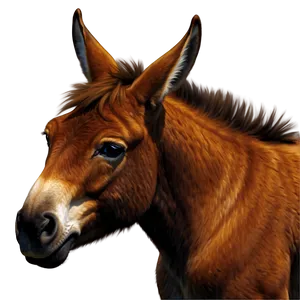 Mule Profile Icon Png 06292024 PNG image