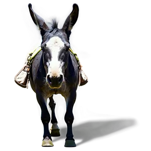 Mule Race Competition PNG Sls