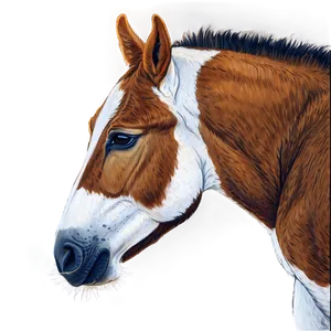 Mule With Foal Bonding PNG Tyi