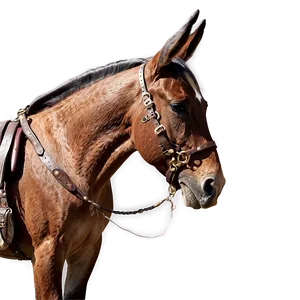 Mule With Saddle PNG Wmh