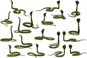 Multiple Cobras Pattern PNG image
