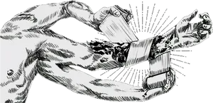 Muscle Fibers Illustration PNG