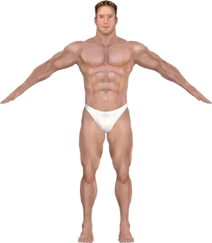 Muscular Man Posingin Underwear