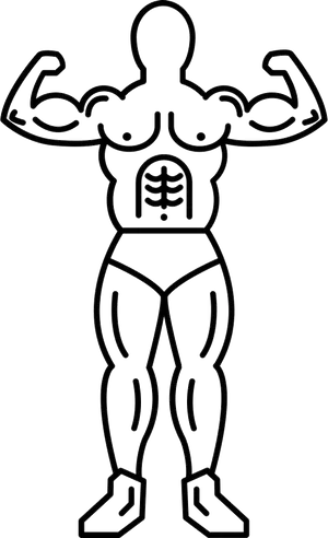 Muscular Outline Icon PNG image