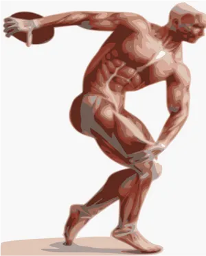 Muscular System Discus Thrower Illustration PNG image