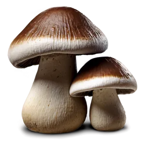 Mushroom Caps Png 05242024 PNG image